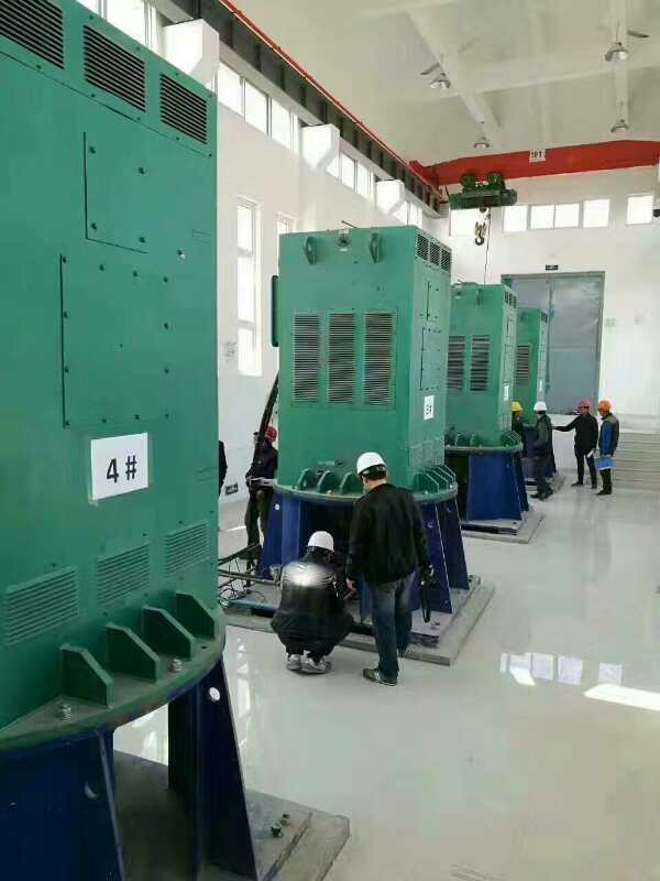 王屋镇某污水处理厂使用我厂的立式高压电机安装现场