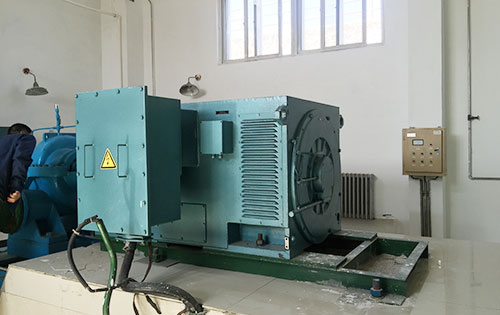 王屋镇某水电站工程主水泵使用我公司高压电机